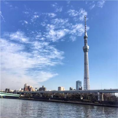 欢乐大作战破解版下载